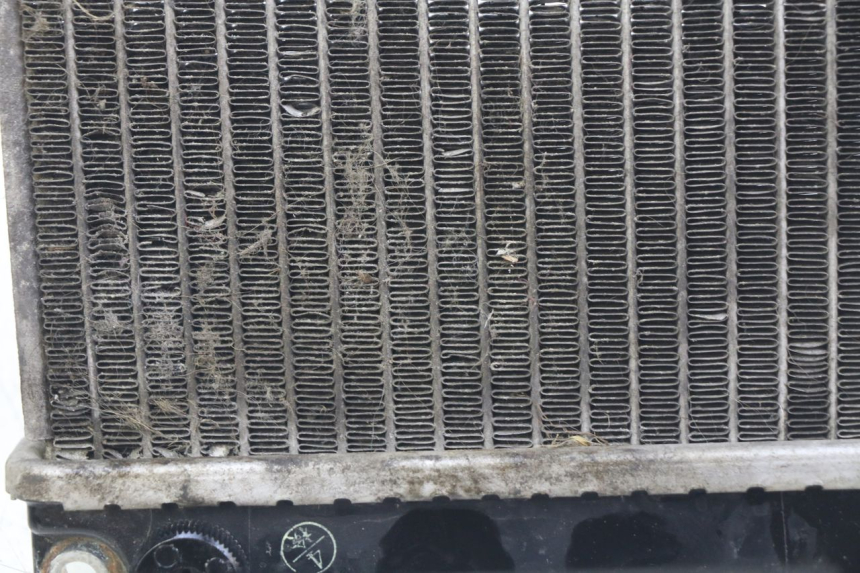 photo de RADIADOR HONDA NHX LEAD 110 (2008 - 2010) - Zoom do estado de desgaste