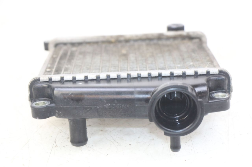 photo de RADIADOR HONDA NHX LEAD 110 (2008 - 2010) - Vista geral