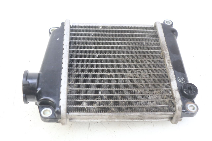 photo de RADIADOR HONDA NHX LEAD 110 (2008 - 2010) - Pontos de fixação