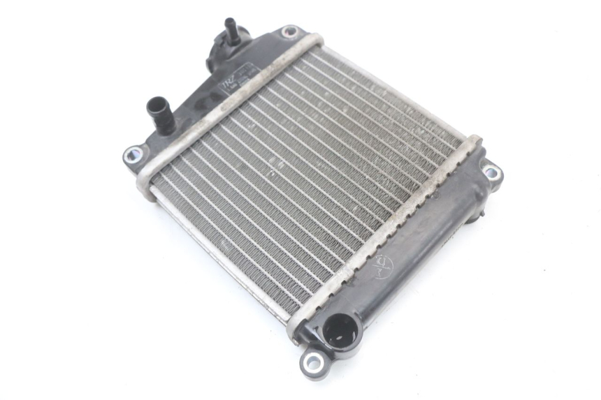 photo de RADIADOR HONDA NHX LEAD 110 (2008 - 2010) - Outro ângulo de visão