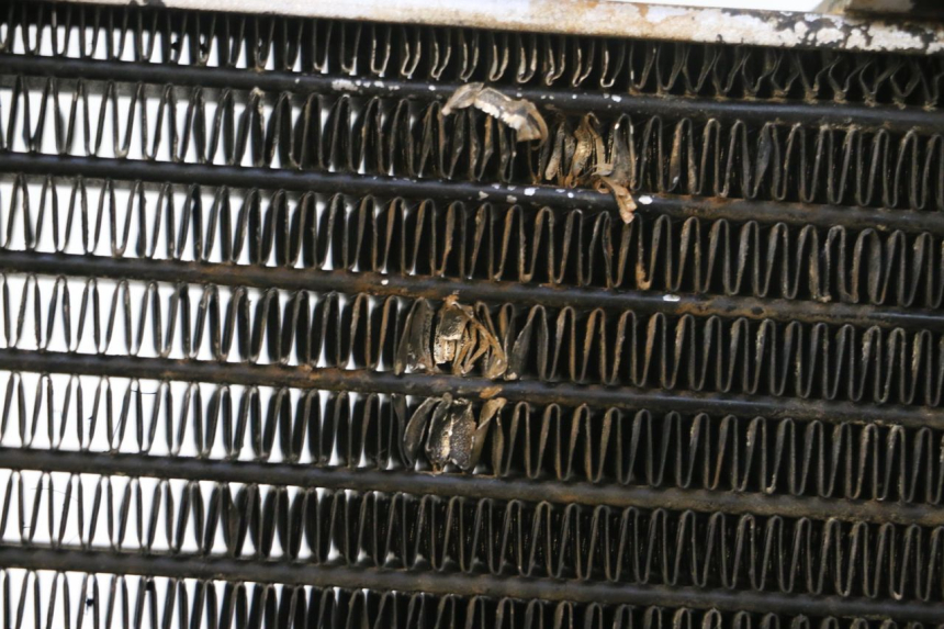 photo de RADIADOR MBK NITRO 50 (2004 - 2008) - Detalhe da peça