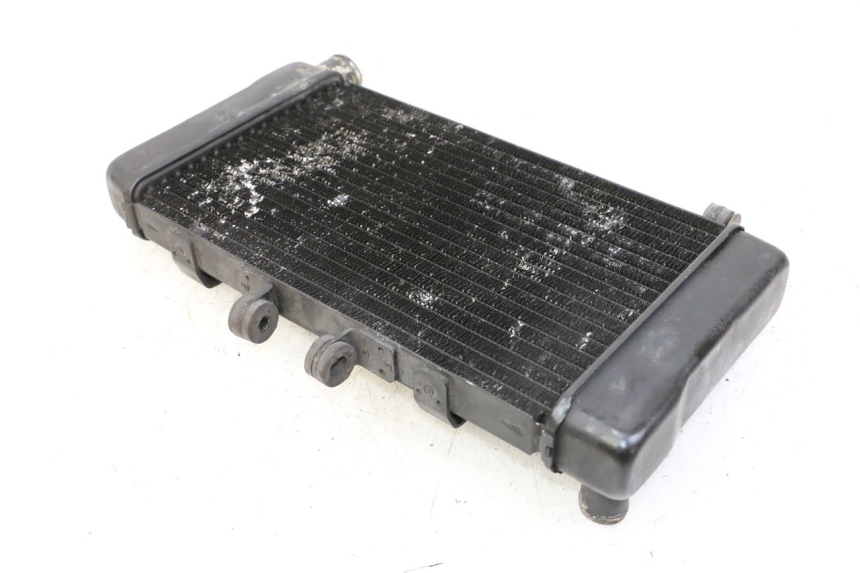 photo de RADIADOR HONDA NTV DEAUVILLE 650 (2001 - 2006) - Detalhe da peça