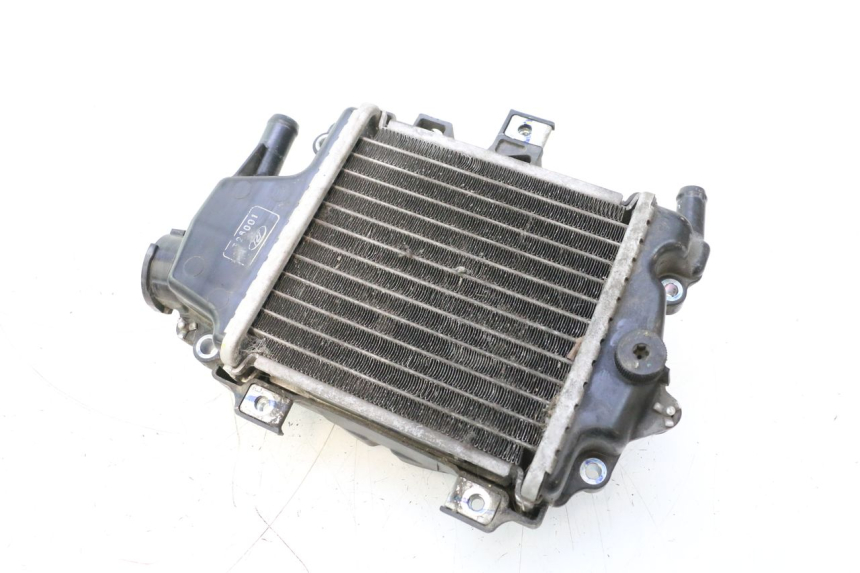 photo de RADIADOR HONDA PCX (JF28) 125 (2009 - 2011) - Vista principal