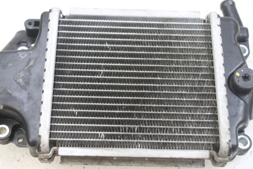 photo de RADIADOR HONDA PCX (JF47) 125 (2012 - 2013) - Zoom do estado de desgaste