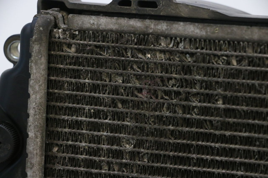 photo de RADIADOR HONDA PCX (JF57/JF64) 125 (2014 - 2018) - Detalhes característicos