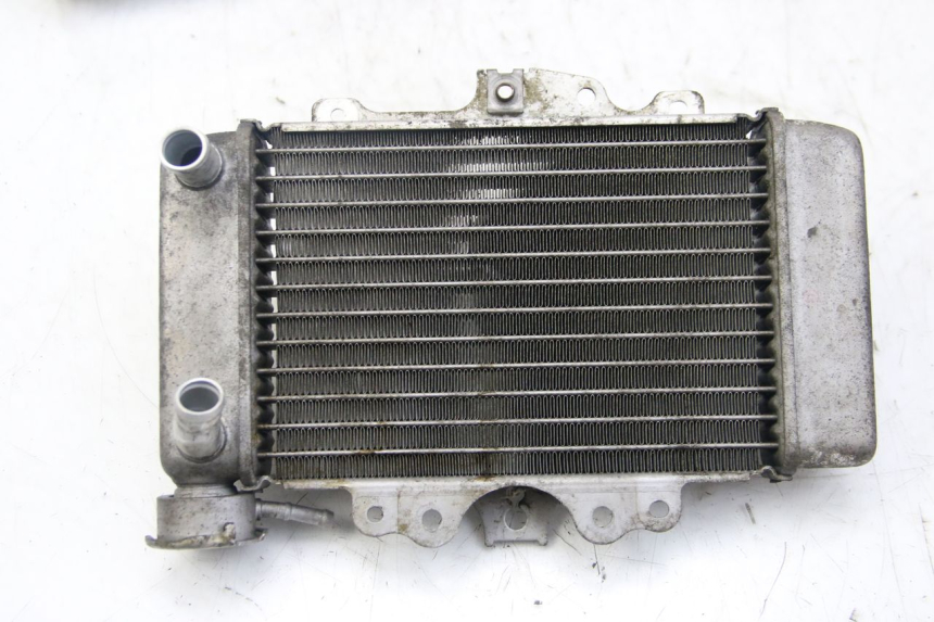 photo de RADIADOR HONDA PES PS I 125 (2006 - 2012) - Vista principal