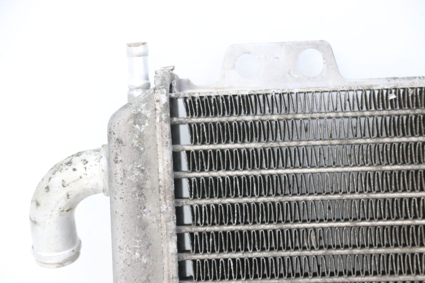 photo de RADIADOR PEUGEOT ELYSTAR 125 (2002 - 2007) - Peça verificada