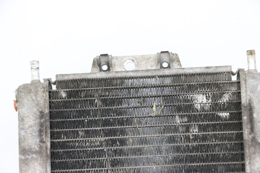 photo de RADIADOR PIAGGIO MP3 125 (2006 - 2014) - Peça verificada