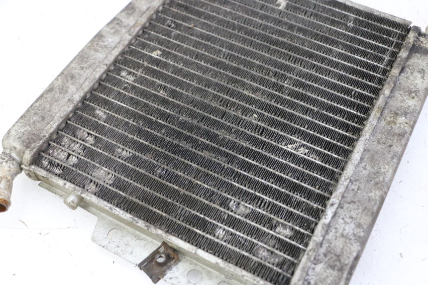 photo de RADIADOR PIAGGIO X8 125 (2004 - 2007) - Detalhe da peça