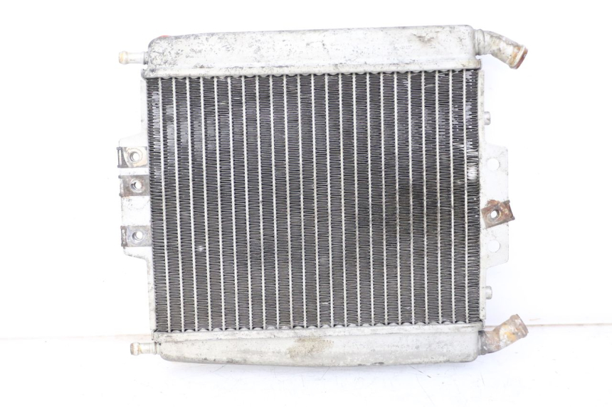 photo de RADIADOR PIAGGIO X8 125 (2004 - 2007) - Peça verificada