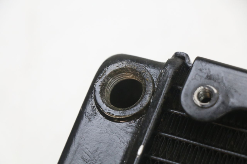 photo de RADIADOR REGAL RAPTOR SPYDER 125 (2010 - 2018) - Detalhe da peça