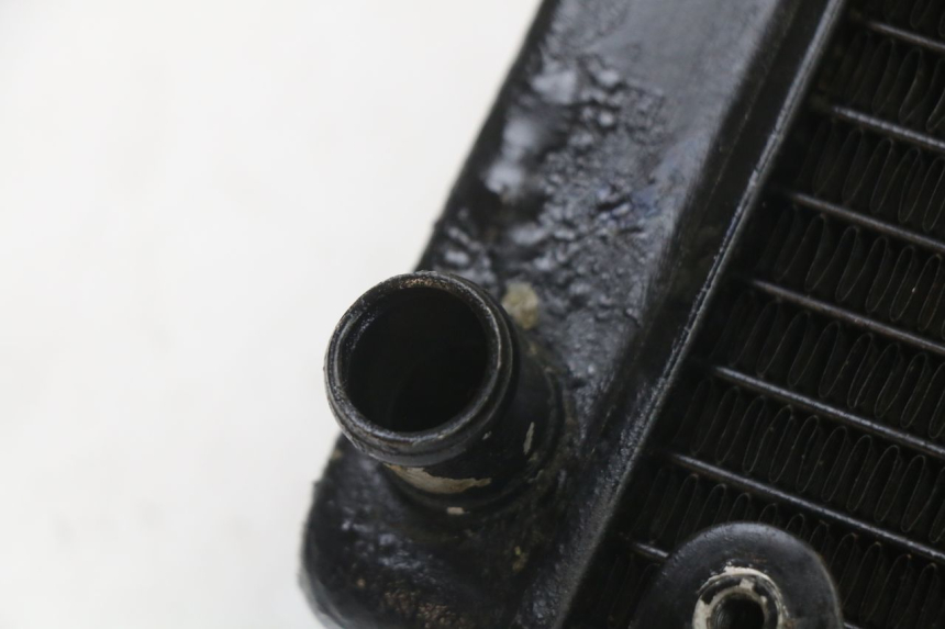 photo de RADIADOR REGAL RAPTOR SPYDER 125 (2010 - 2018) - Zoom do estado de desgaste