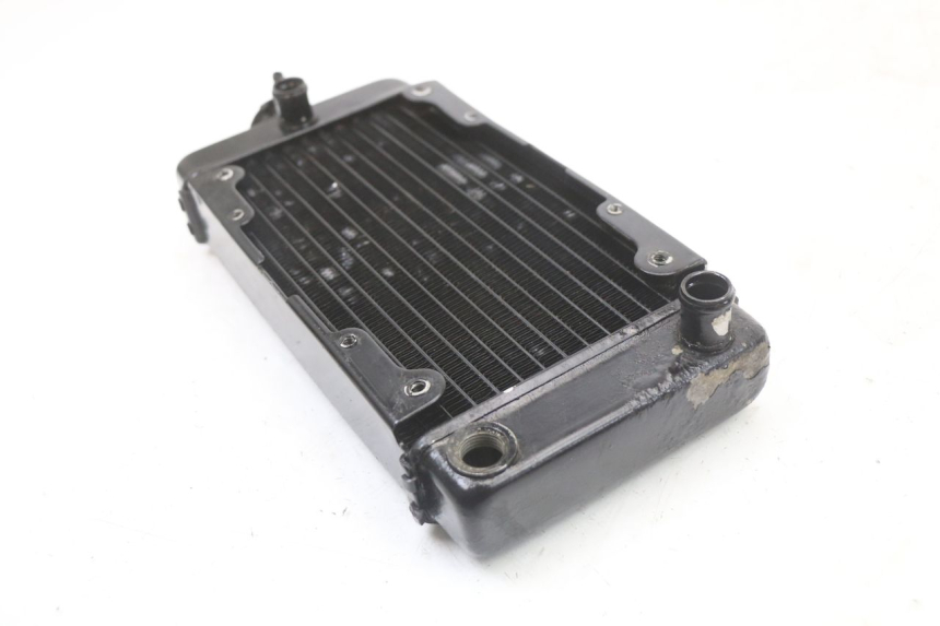 photo de RADIADOR REGAL RAPTOR SPYDER 125 (2010 - 2018) - Peça verificada
