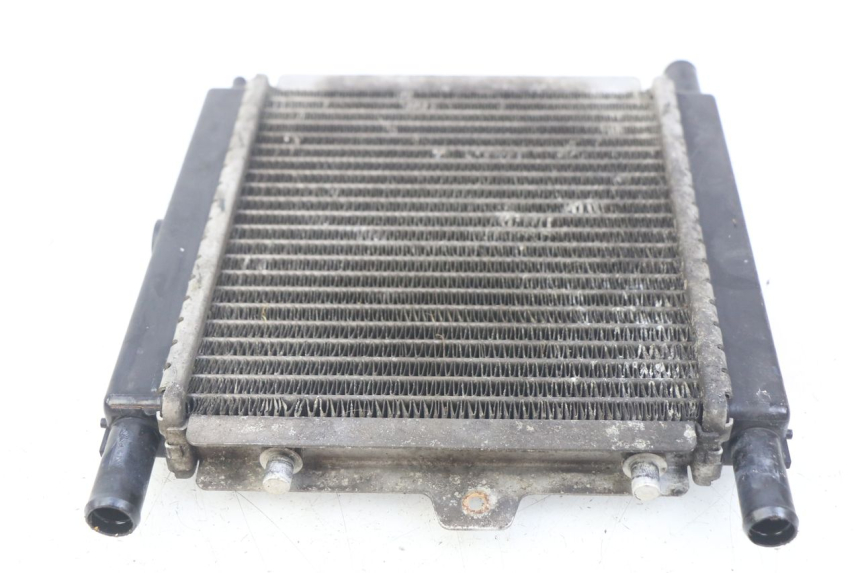photo de RADIADOR PEUGEOT SATELIS 125 (2006 - 2009) - Detalhe da peça
