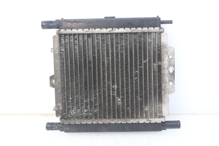 photo de RADIADOR PEUGEOT SATELIS 125 (2006 - 2009) - Zoom do estado de desgaste