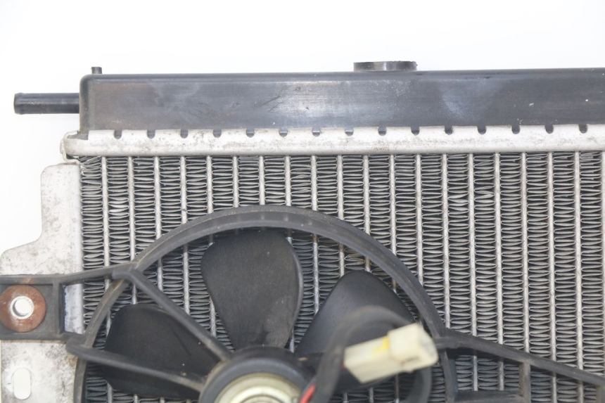 photo de RADIADOR PEUGEOT SATELIS 125 (2010 - 2012) - Vista geral