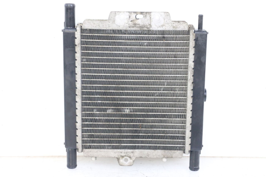 photo de RADIADOR PEUGEOT SATELIS 125 (2006 - 2009) - Vista principal