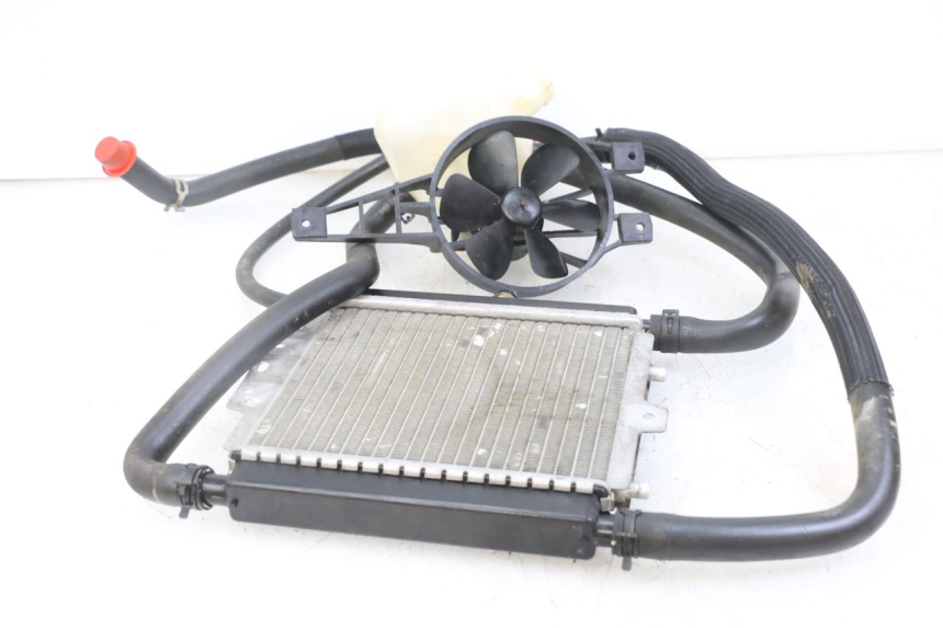 photo de RADIADOR PEUGEOT SATELIS 125 (2010 - 2012) - Zoom do estado de desgaste