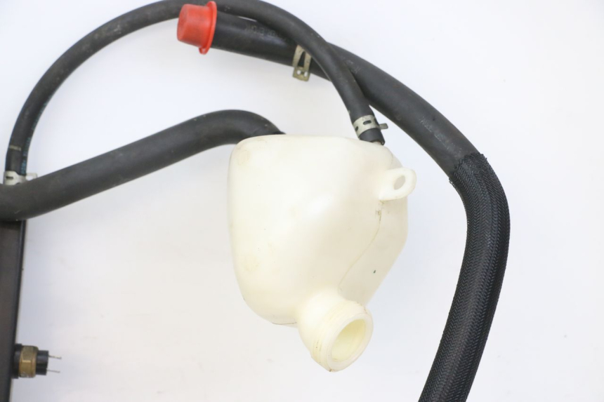 photo de RADIADOR PEUGEOT SATELIS 125 (2010 - 2012) - Estado da superfície