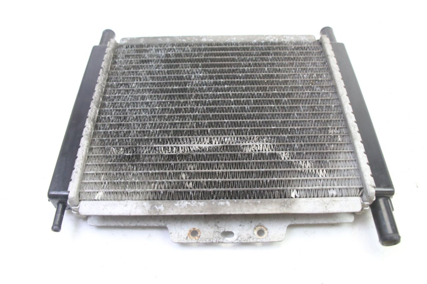 photo de RADIADOR PEUGEOT SATELIS 250 (2006 - 2012) - Zoom do estado de desgaste