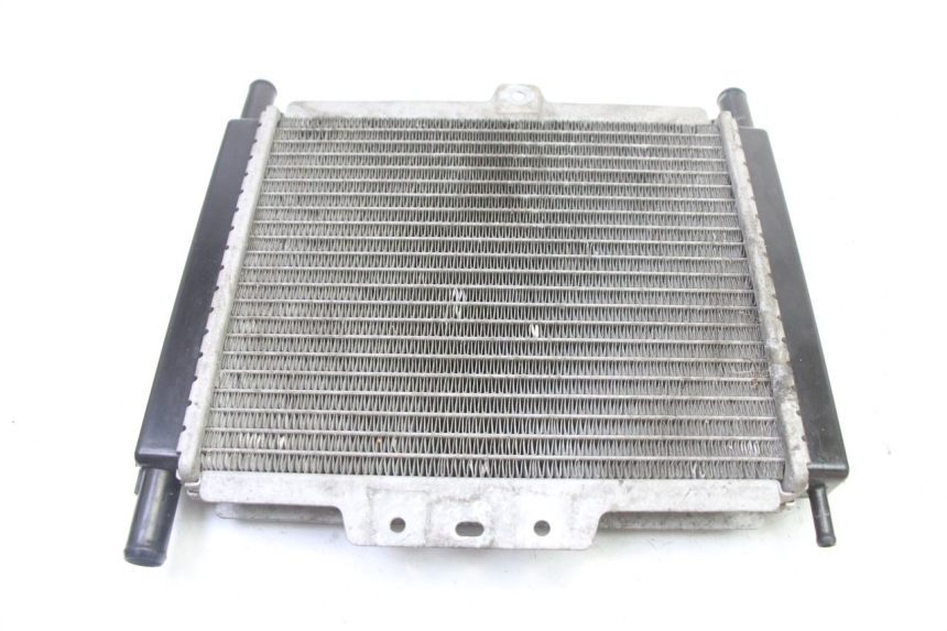 photo de RADIADOR PEUGEOT SATELIS 250 (2006 - 2012) - Vista geral