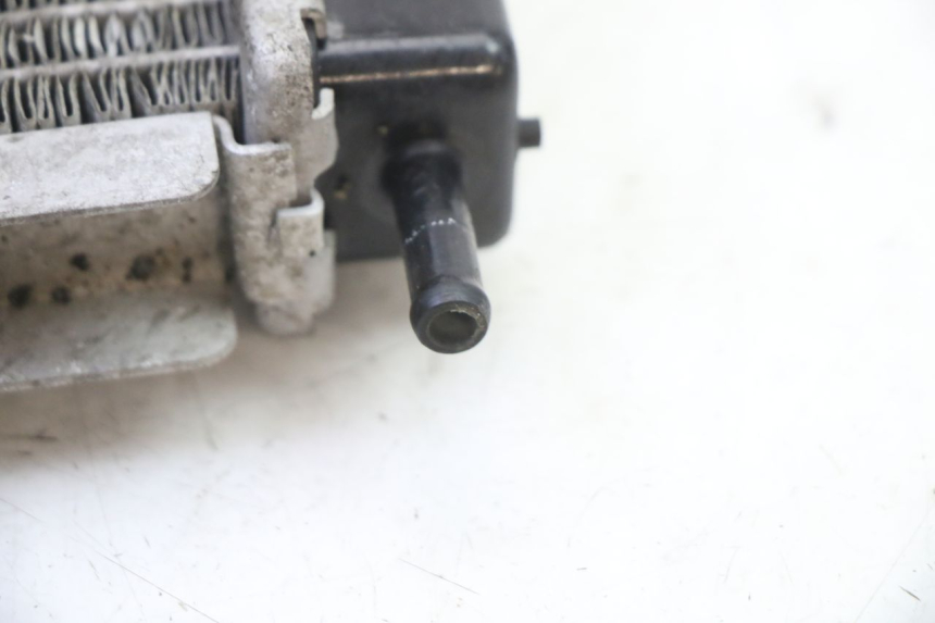photo de RADIADOR PEUGEOT SATELIS 250 (2006 - 2012) - Estado da superfície