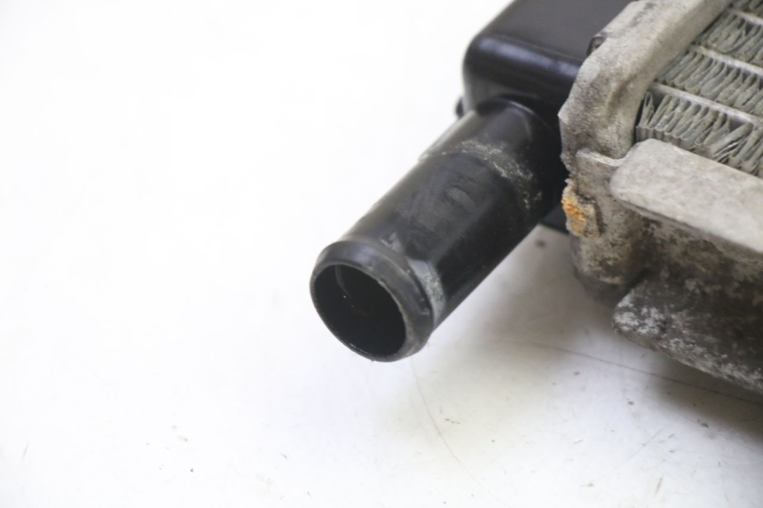 photo de RADIADOR PEUGEOT SATELIS 250 (2006 - 2012) - Peça verificada