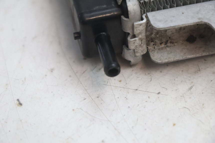 photo de RADIADOR PEUGEOT SATELIS 125 (2013 - 2018) - Detalhes característicos