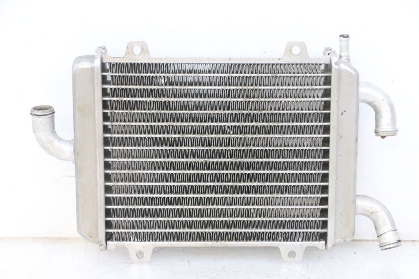 photo de RADIADOR PEUGEOT SPEEDFIGHT 2 LC 50 (2000 - 2009) - Vista principal