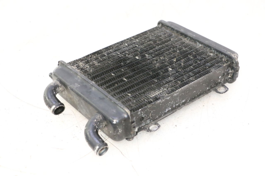 photo de RADIADOR PEUGEOT SPEEDFIGHT LC 50 (1996 - 2002) - Zoom do estado de desgaste