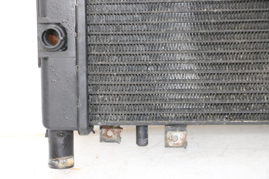 photo de RADIADOR TRIUMPH SPRINT 900 (1995 - 1998) - Ampliação dos componentes