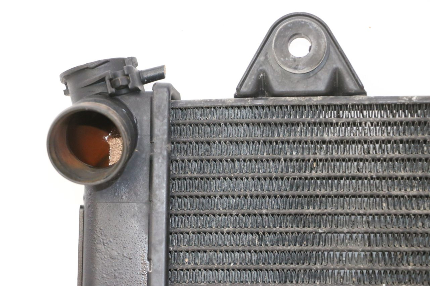 photo de RADIADOR TRIUMPH SPRINT 900 (1995 - 1998) - Vista de perto
