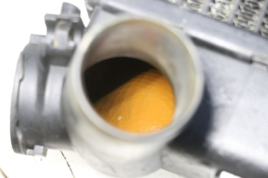 photo de RADIADOR TRIUMPH SPRINT 900 (1995 - 1998) - Zoom do estado de desgaste