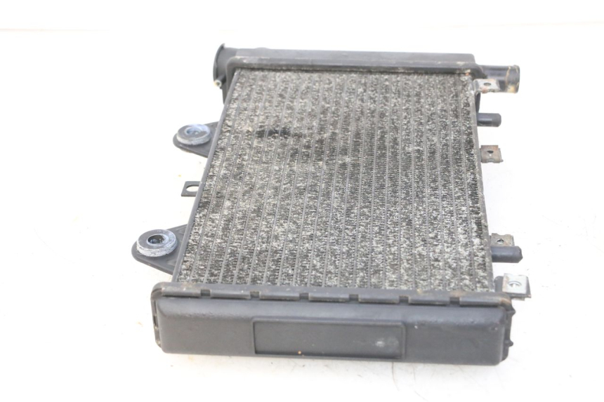 photo de RADIADOR TRIUMPH SPRINT 900 (1995 - 1998) - Ampliação técnica