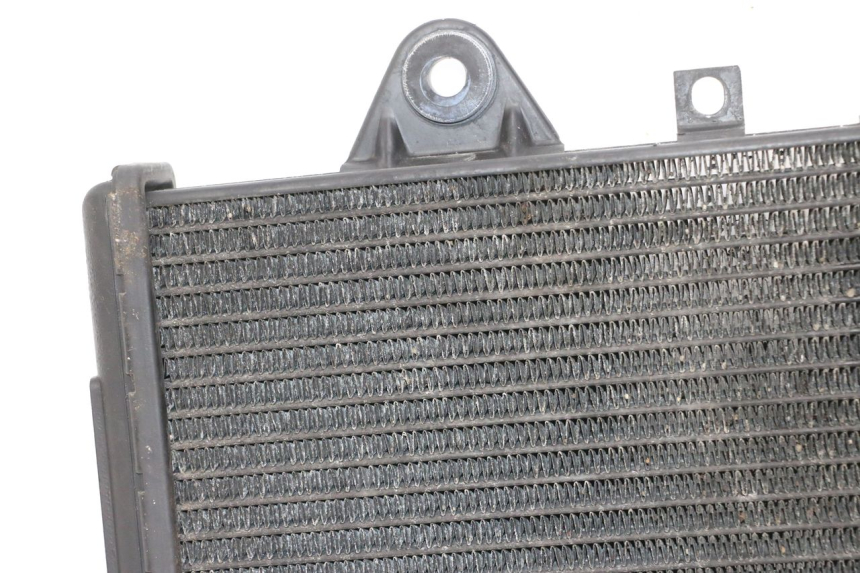 photo de RADIADOR TRIUMPH SPRINT 900 (1995 - 1998) - Marcações e referências