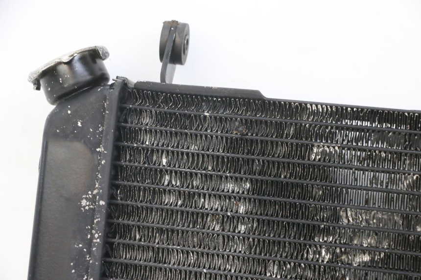 photo de RADIADOR SUZUKI SV N 650 (1999 - 2002) - Inspeção visual