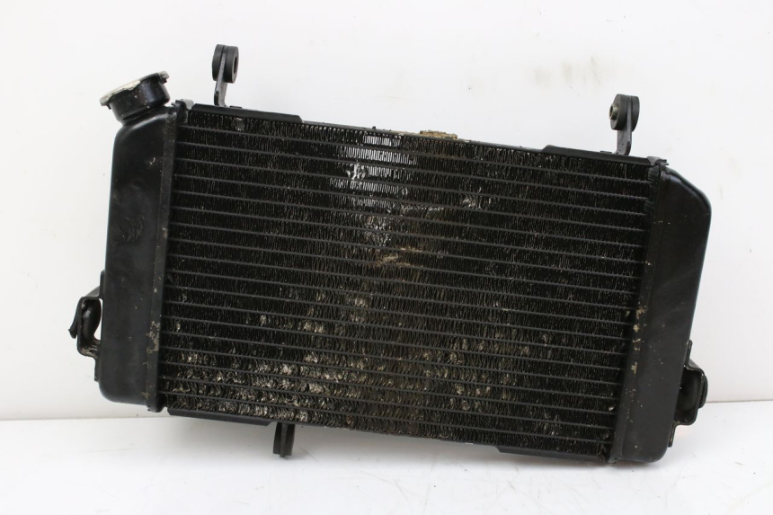 photo de RADIADOR SUZUKI SV S 650 (1999 - 2002) - Vista principal