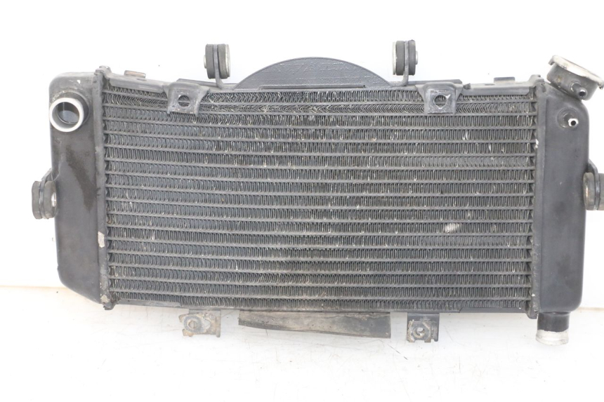 photo de RADIADOR YAMAHA TDM ABS 900 (2002 - 2014) - Vista do produto
