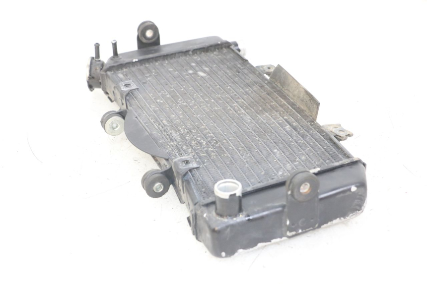 photo de RADIADOR YAMAHA TDM ABS 900 (2002 - 2014) - Vista geral