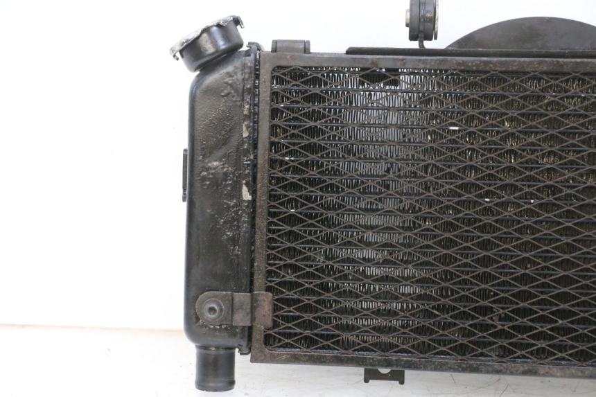 photo de RADIADOR YAMAHA TDM ABS 900 (2002 - 2014) - Vista de perto