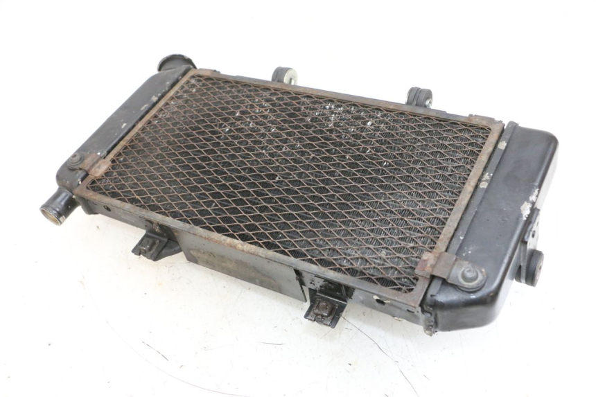 photo de RADIADOR YAMAHA TDM ABS 900 (2002 - 2014) - Estado da superfície