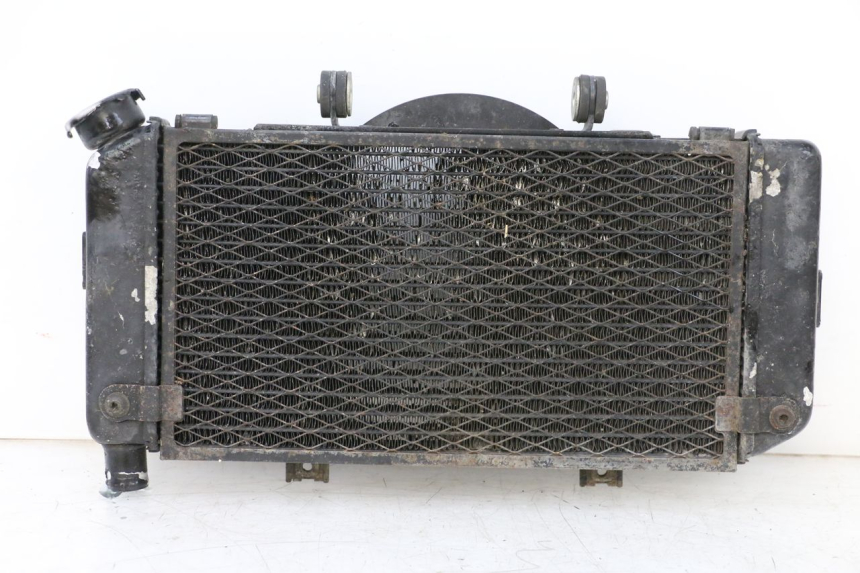 photo de RADIADOR YAMAHA TDM ABS 900 (2002 - 2014) - Vista principal