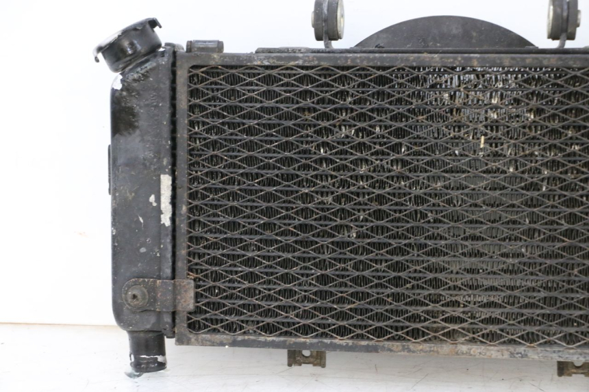 photo de RADIADOR YAMAHA TDM ABS 900 (2002 - 2014) - Vista do produto