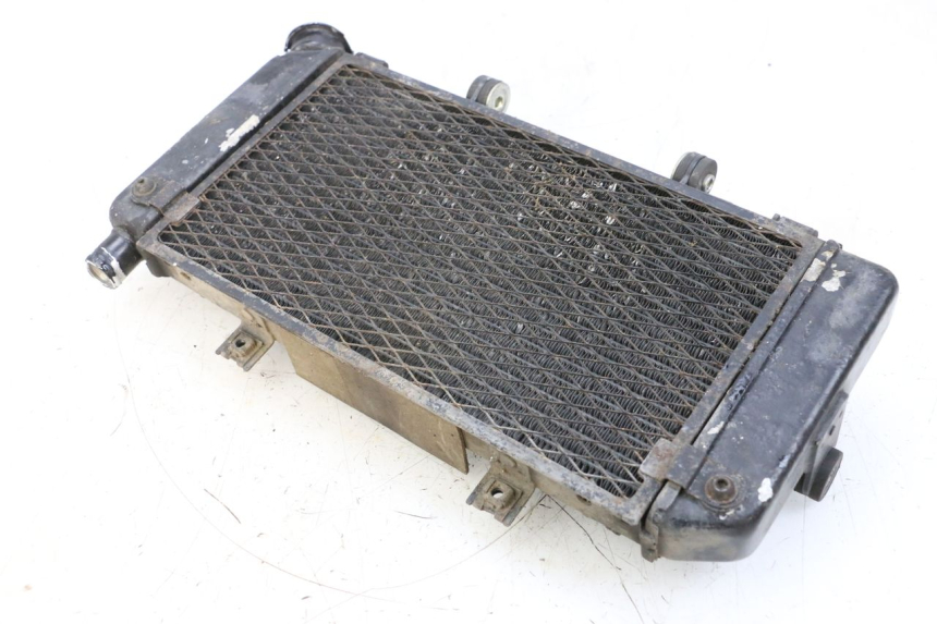 photo de RADIADOR YAMAHA TDM ABS 900 (2002 - 2014) - Zoom do estado de desgaste