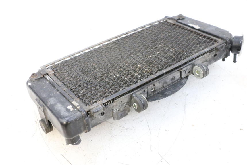 photo de RADIADOR YAMAHA TDM ABS 900 (2002 - 2014) - Outro ângulo de visão