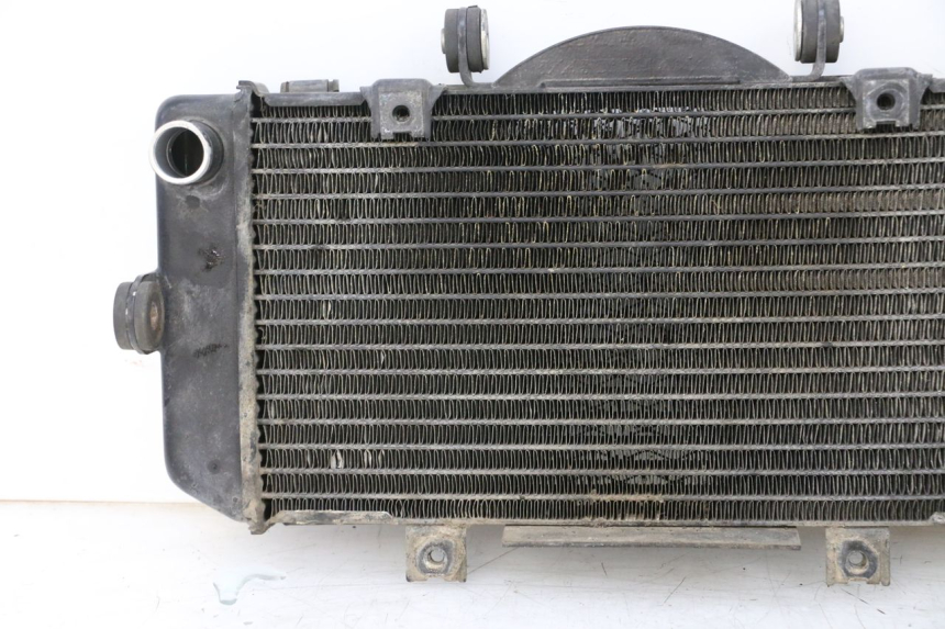 photo de RADIADOR YAMAHA TDM ABS 900 (2002 - 2014) - Estado da superfície