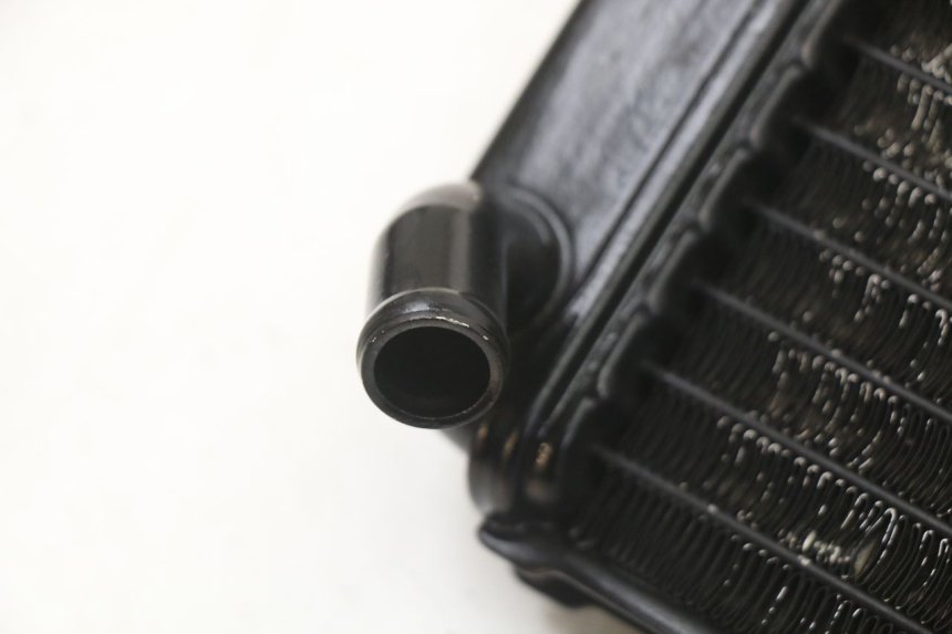 photo de RADIADOR YAMAHA TDR DELTABOX 125 (1997 - 2003) - Detalhe da peça
