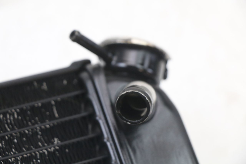 photo de RADIADOR YAMAHA TDR DELTABOX 125 (1997 - 2003) - Zoom do estado de desgaste