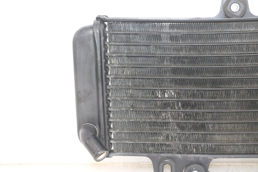 photo de RADIADOR YAMAHA TDR DELTABOX 125 (1997 - 2003) - Inspeção visual