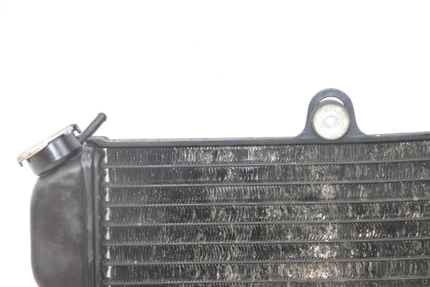 photo de RADIADOR YAMAHA TDR DELTABOX 125 (1997 - 2003) - Vista geral